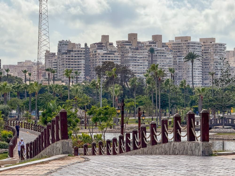 Apartment towers rise above the park, Alexandria