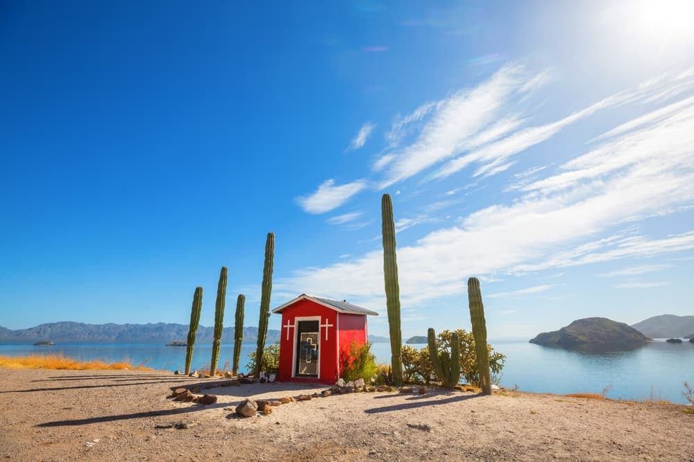 Landscape with cacti and tiny chapel, Baja