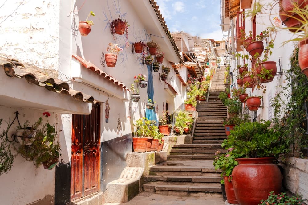 Flower pots line stone staircase outside homes, Cusco