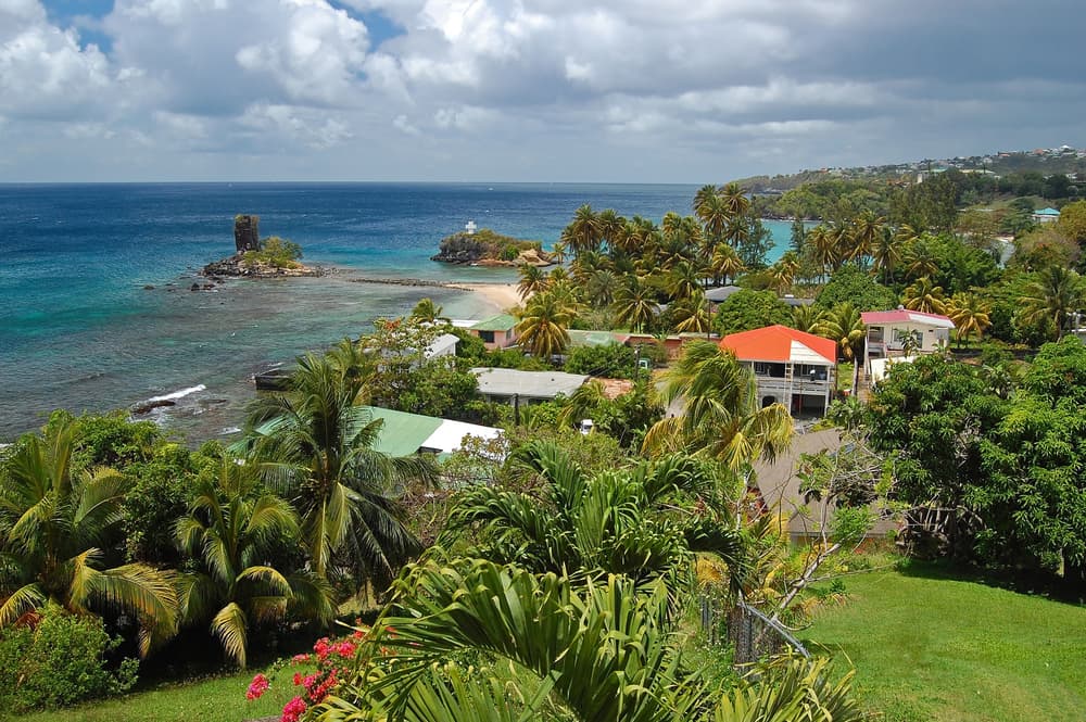 Saint Vincent close view of local homes and greenery, Kingstown