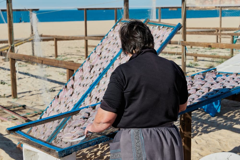 Fishmonger dries fish for sale at the coast, Nazaré