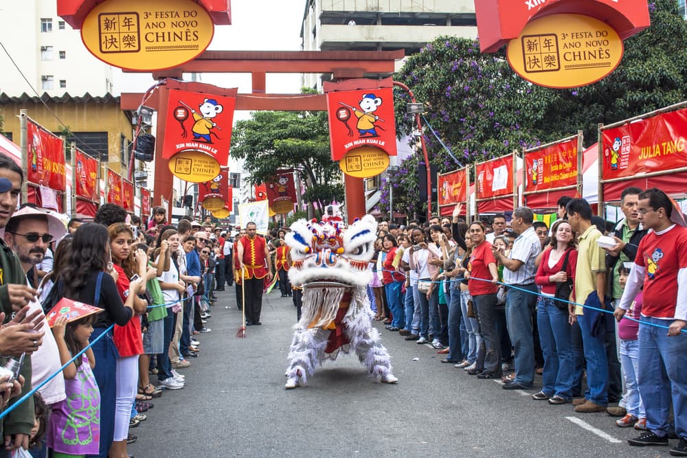 Chinatown peformance with traditional dragons, São Paulo