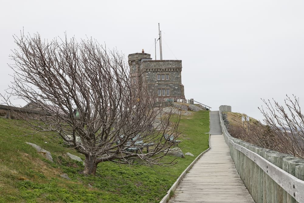 St. John's