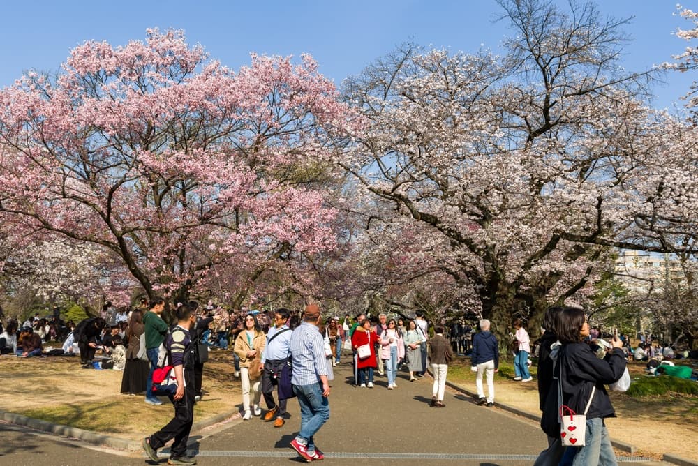 Tokyo