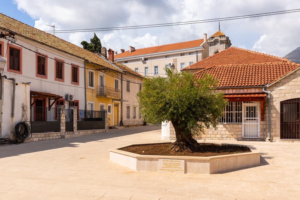 Bosnia historic local homes in the city center, Trebinje