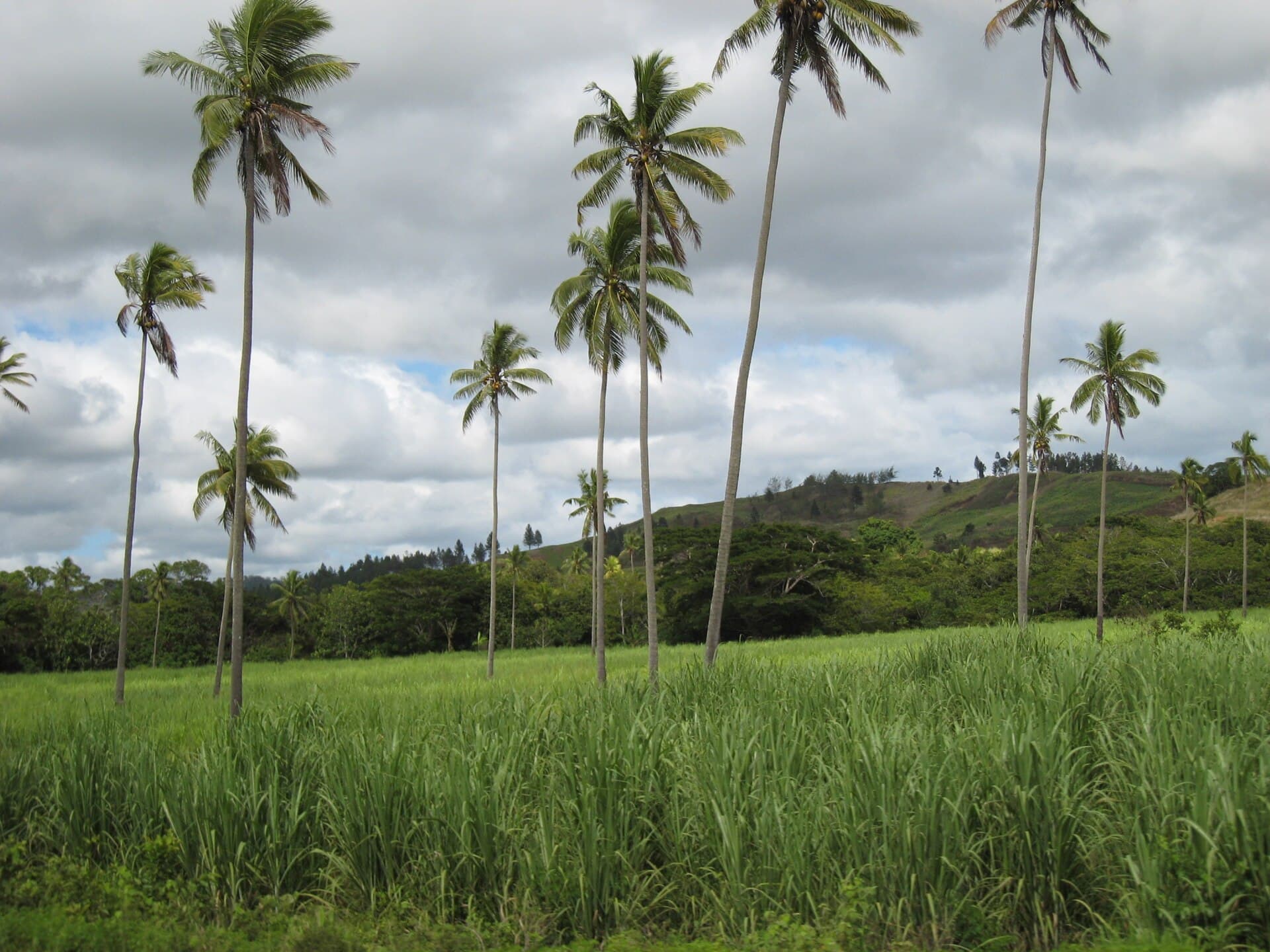 Labasa