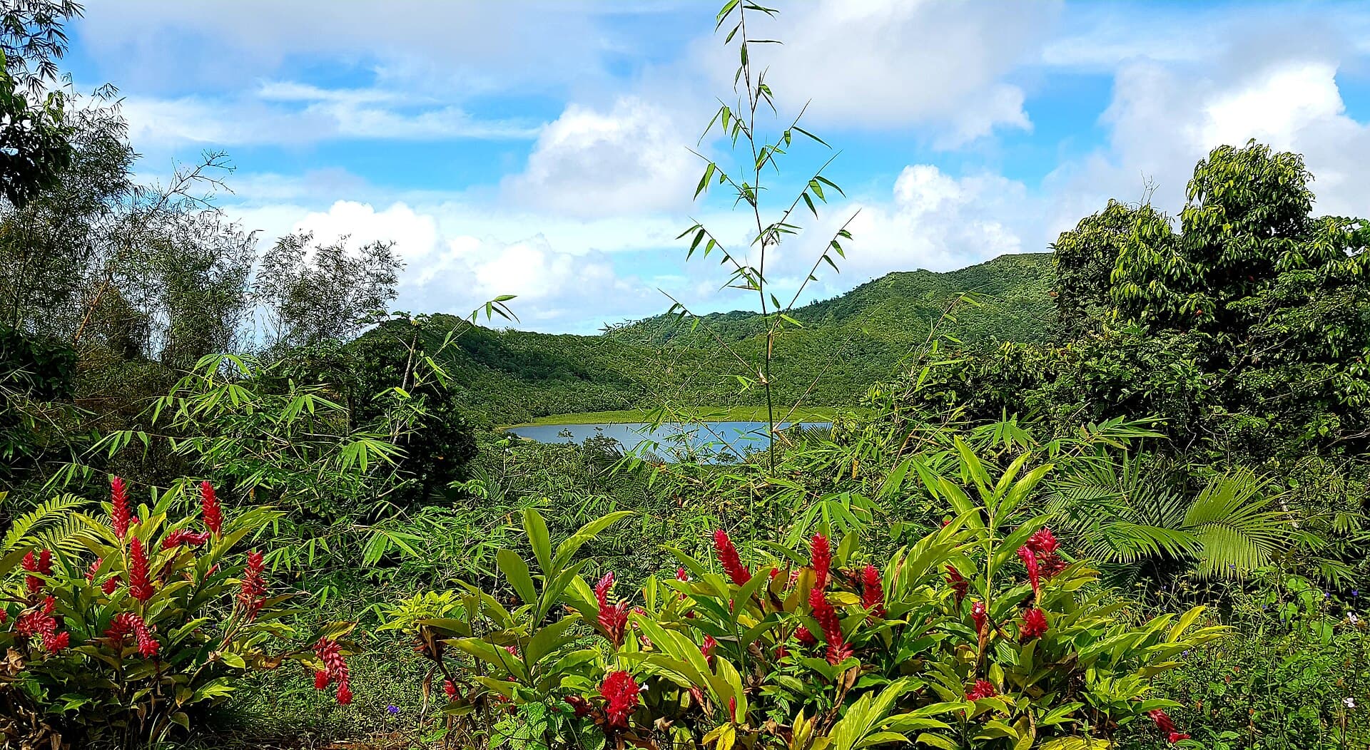 The one Caribbean passport built for getting into the United States