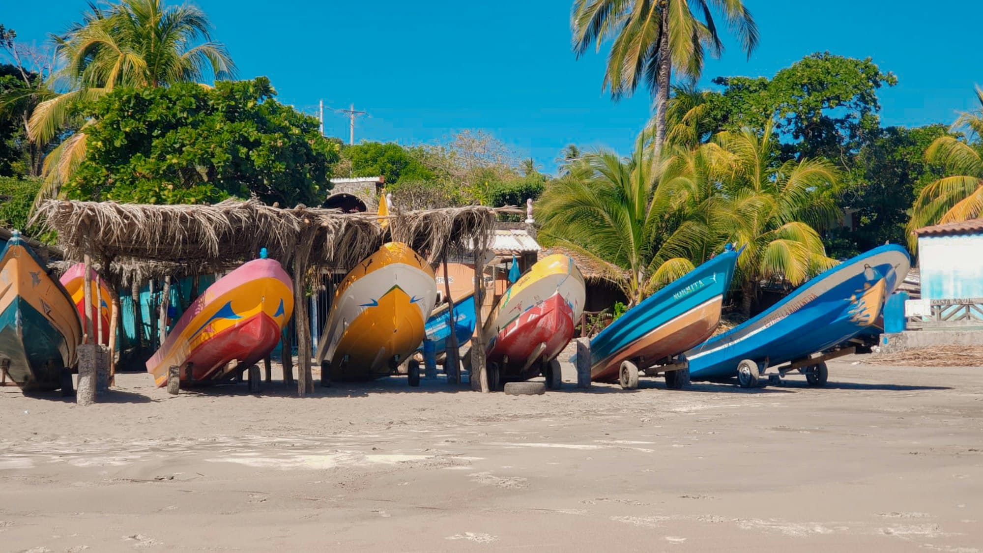 Painted fishing boats on trailers under palm trees on a Salvadoran beach