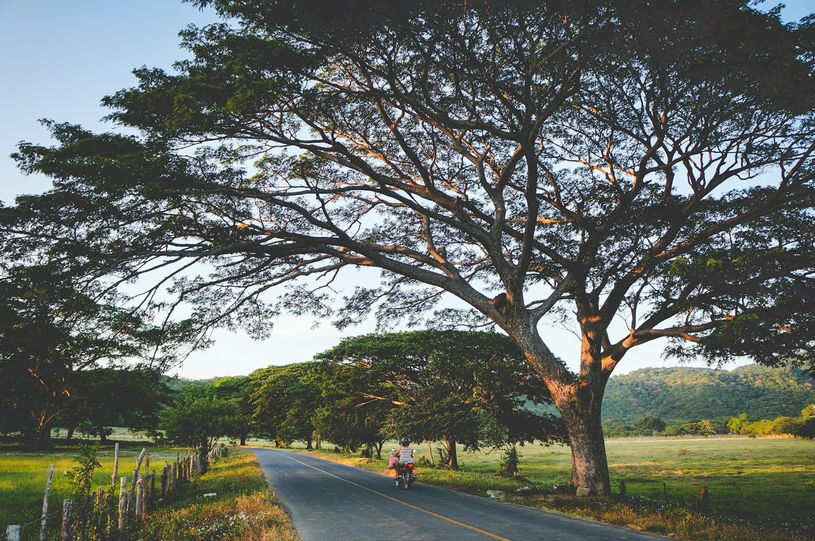 A motorbike on a rural road under large shade trees in the Nicaraguan countryside