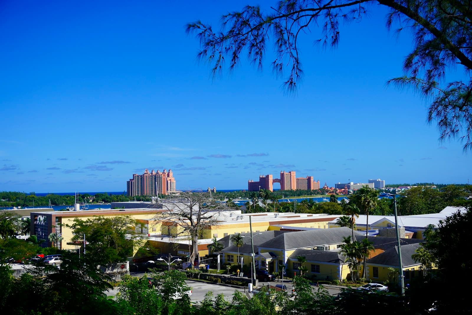 Nassau rooftops and palms seen from a hill, with Paradise Island hotels across the harbor