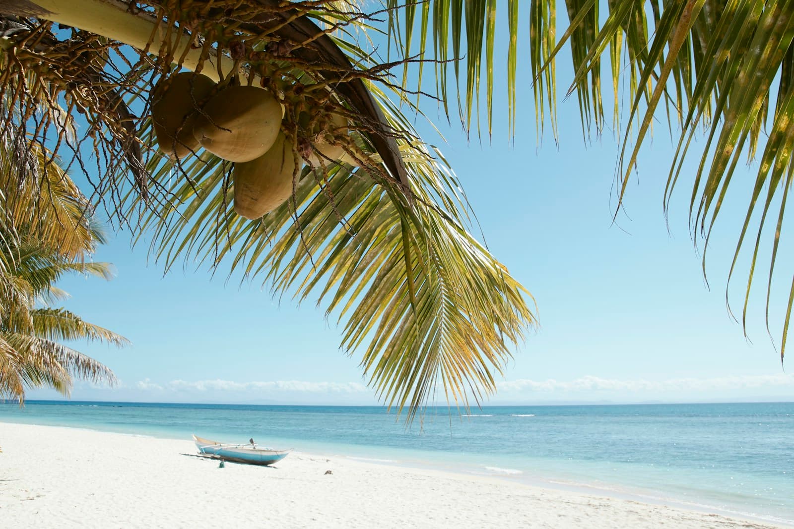 A small wooden boat on a white-sand beach under coconut palms on the coast of Madagascar