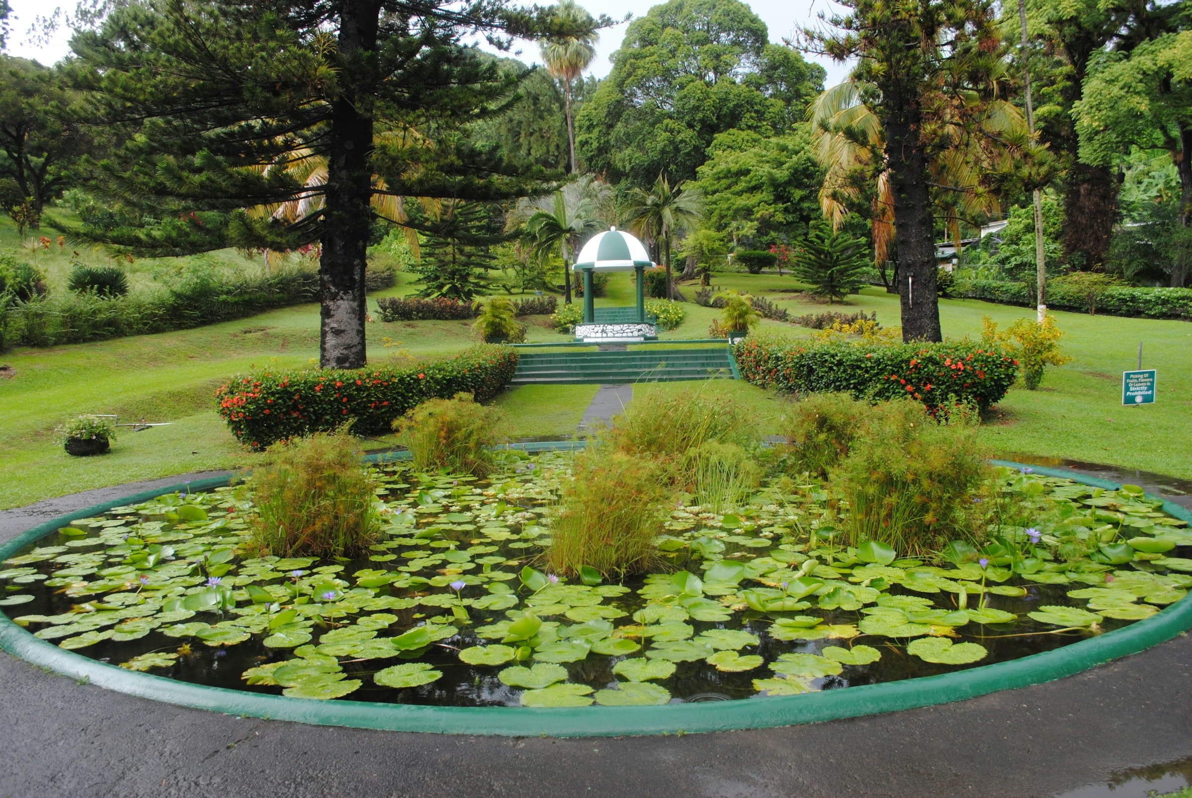 Lily pond and green gazebo in the Botanical Gardens in Kingstown, Saint Vincent