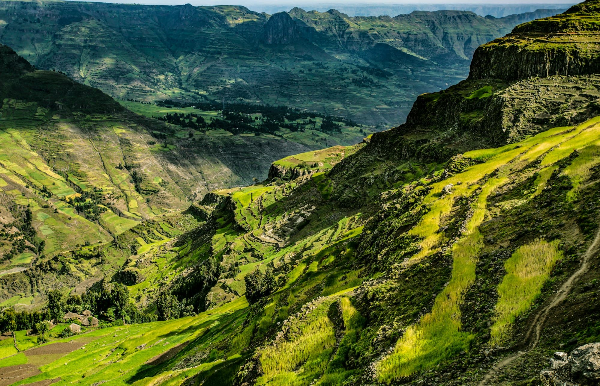 Living in Ethiopia as an American: the 2026 reality check