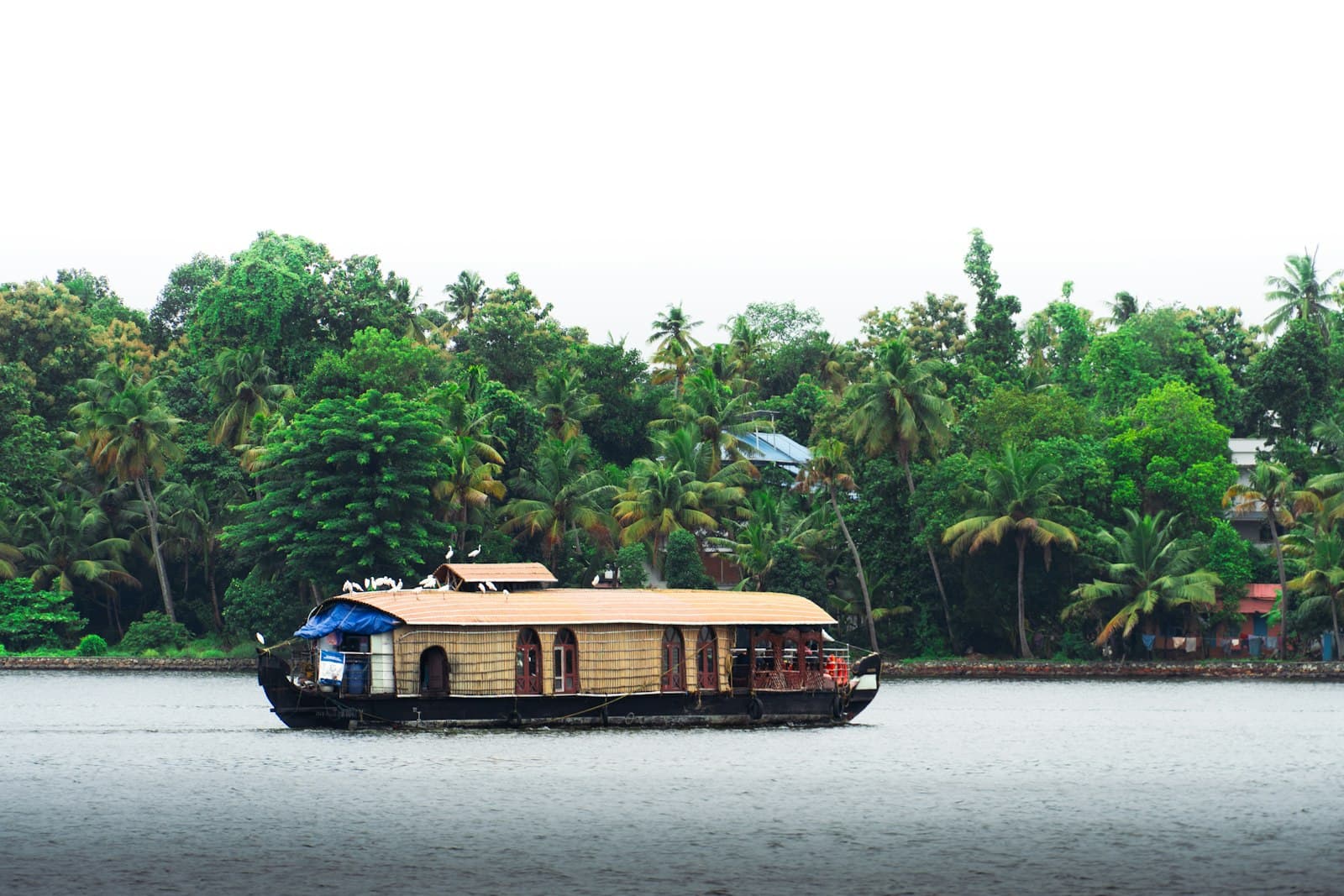 A thatched houseboat on a palm-lined backwater in Kerala