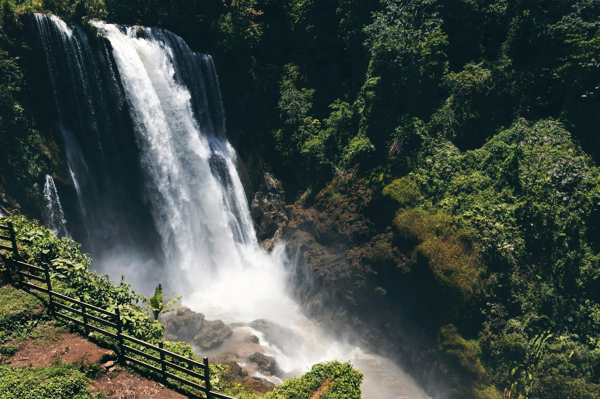 A tall waterfall pouring into a green jungle gorge in Honduras