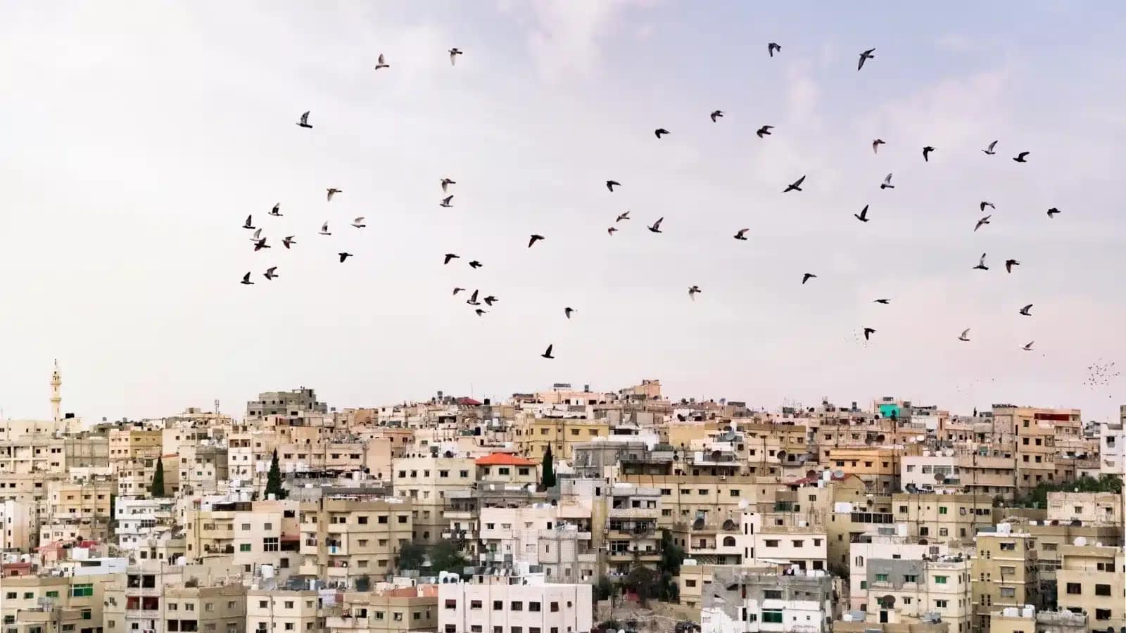 Jordan's investor passport: build a business, hire locally, wait it out