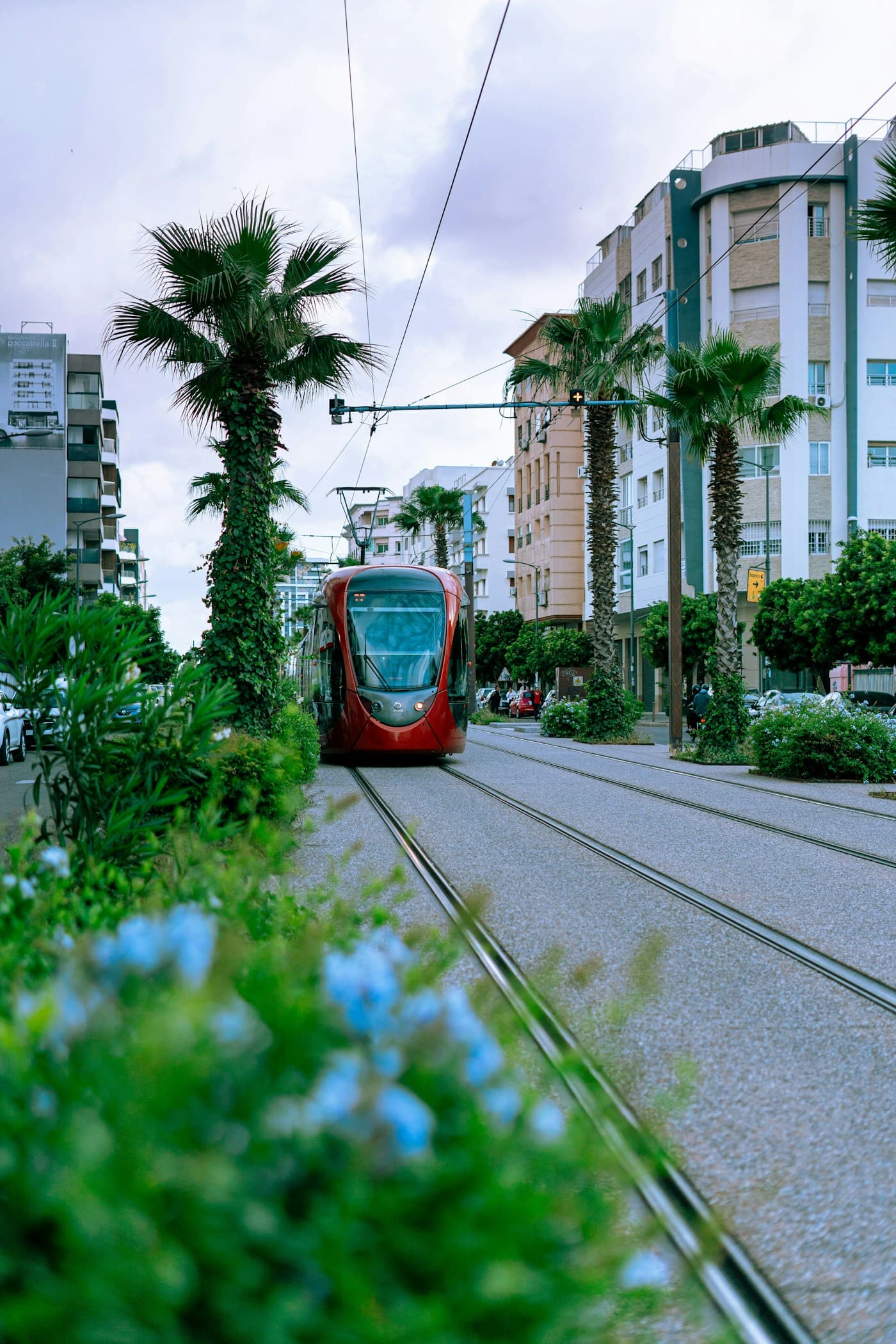 A red Casablanca tram running between palm trees and apartment buildings