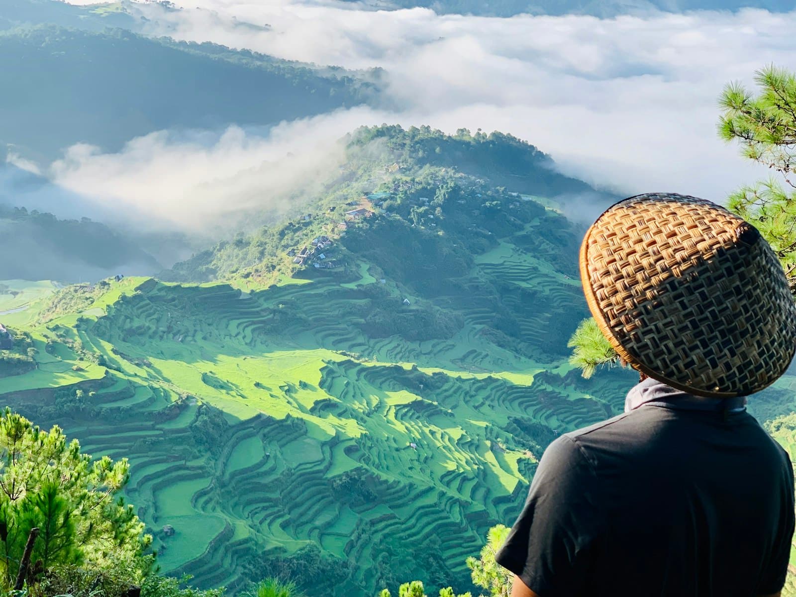 A man in a woven hat looks out over the green rice terraces of the Cordillera mountains with clouds in the valley