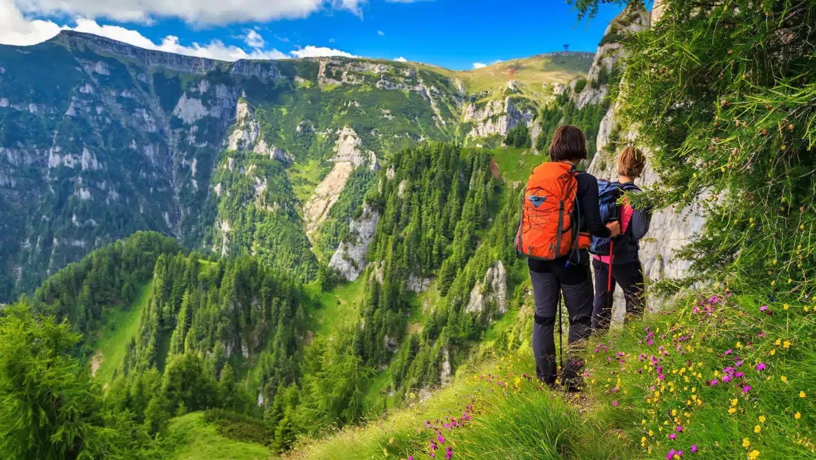 Two hikers on a flowered trail in the Bucegi Mountains