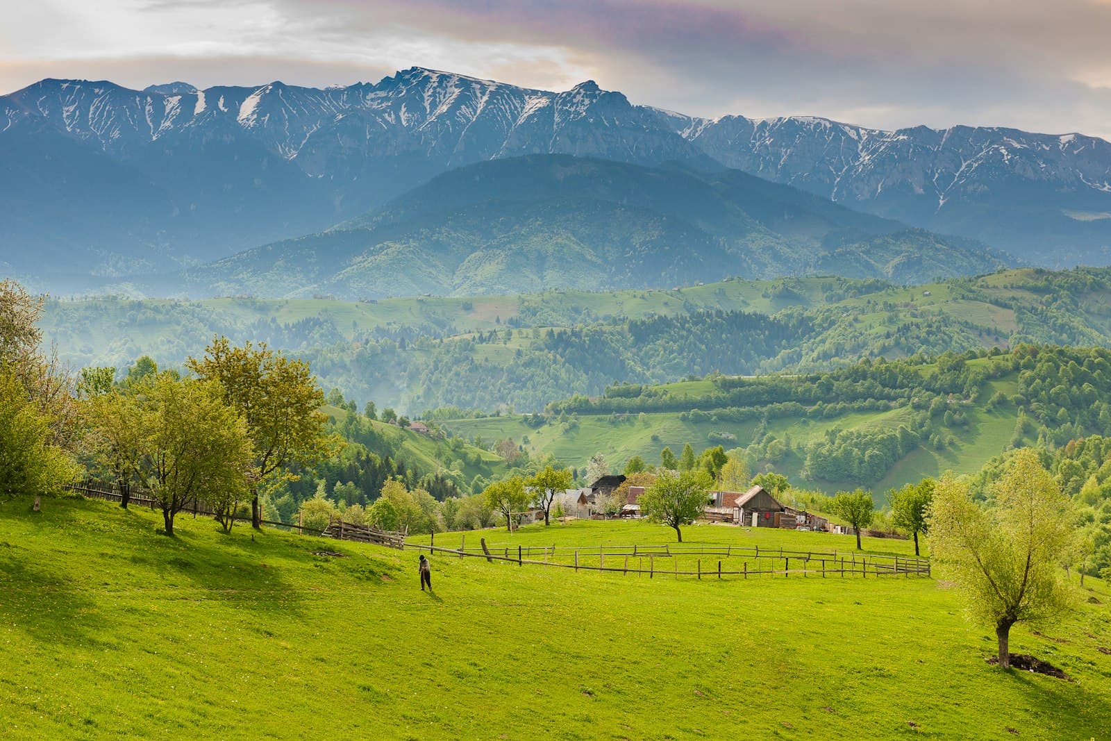Farmhouses and orchards on green hills below the snowy Carpathian peaks