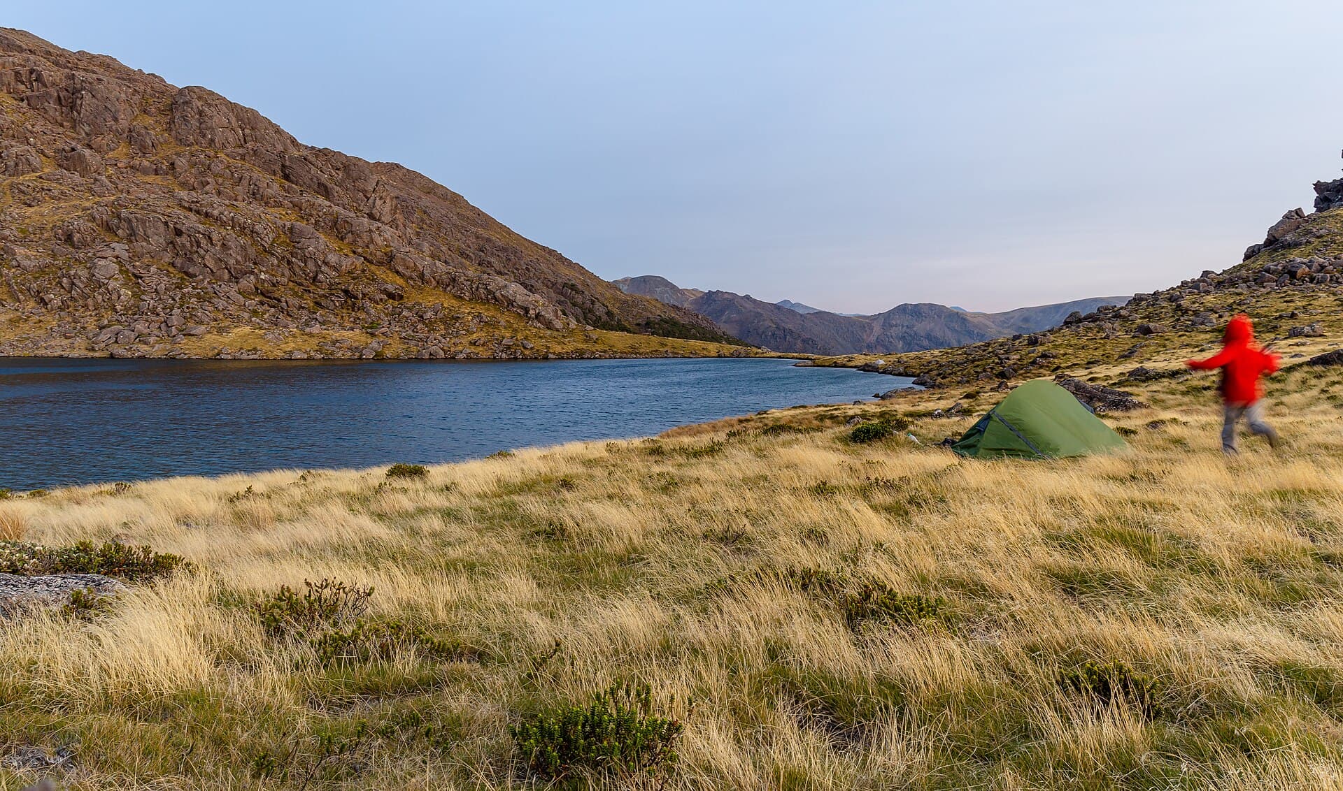 Get a year in New Zealand before you turn 31