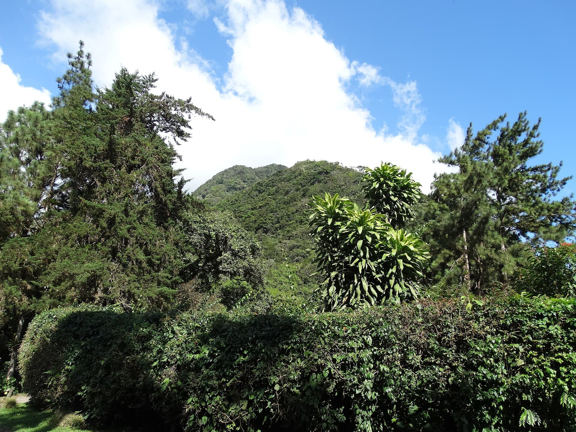 El Valle de Anton
