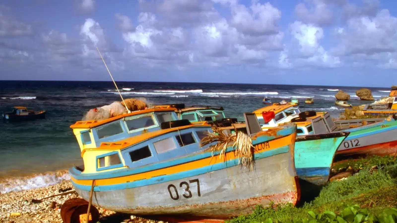 The Barbados work permit: your employer files, and you wait