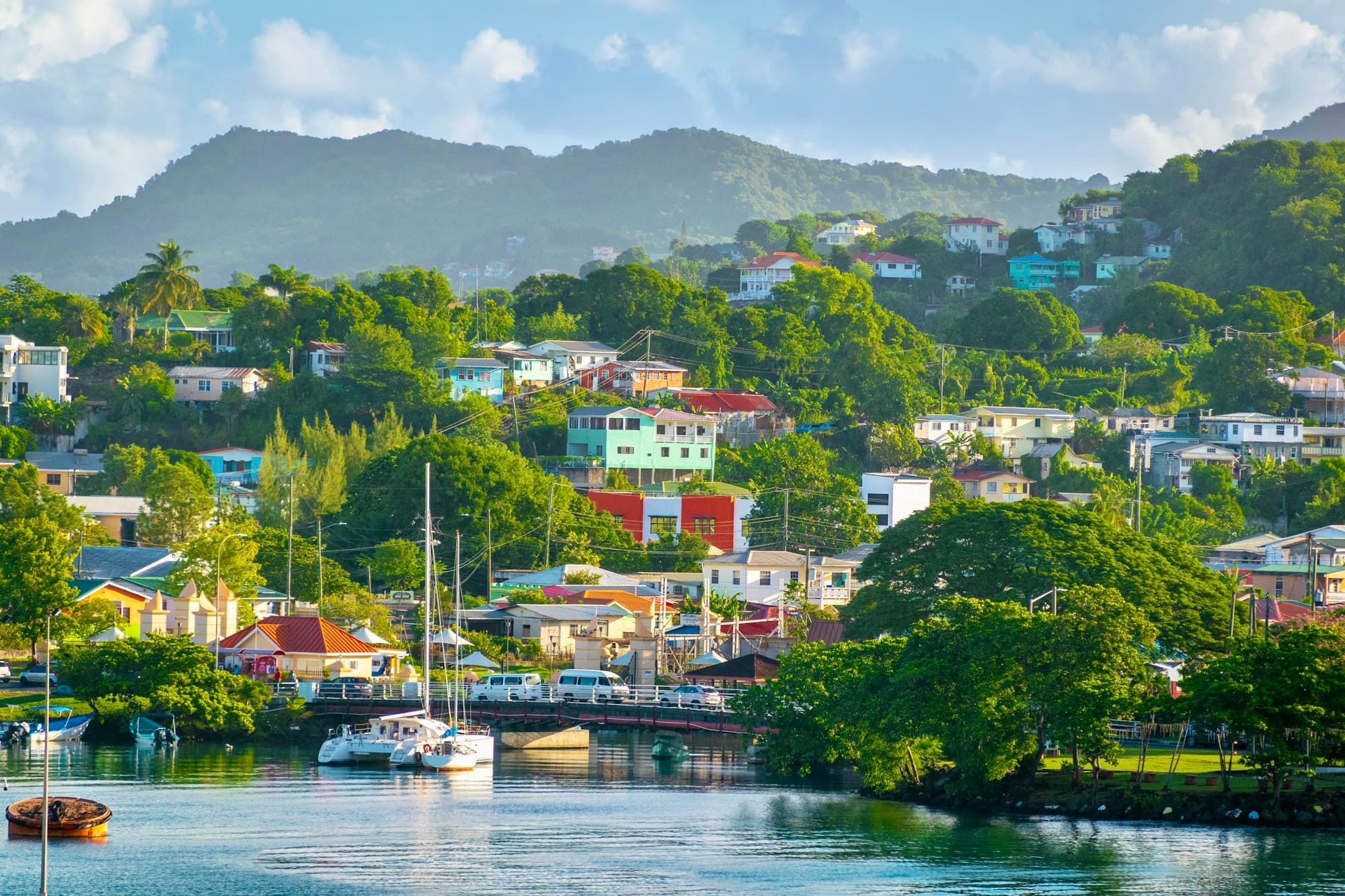 Colorful houses climbing a green hillside above a harbor with sailboats near Castries, Saint Lucia