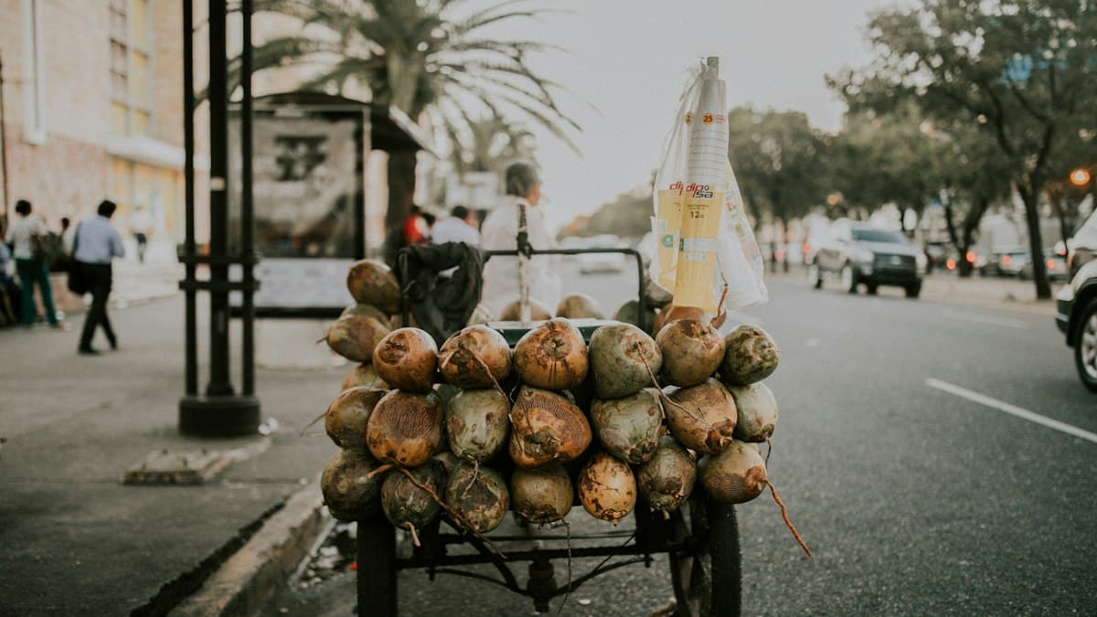 Spanish, blackouts, and the drive to the supermarket