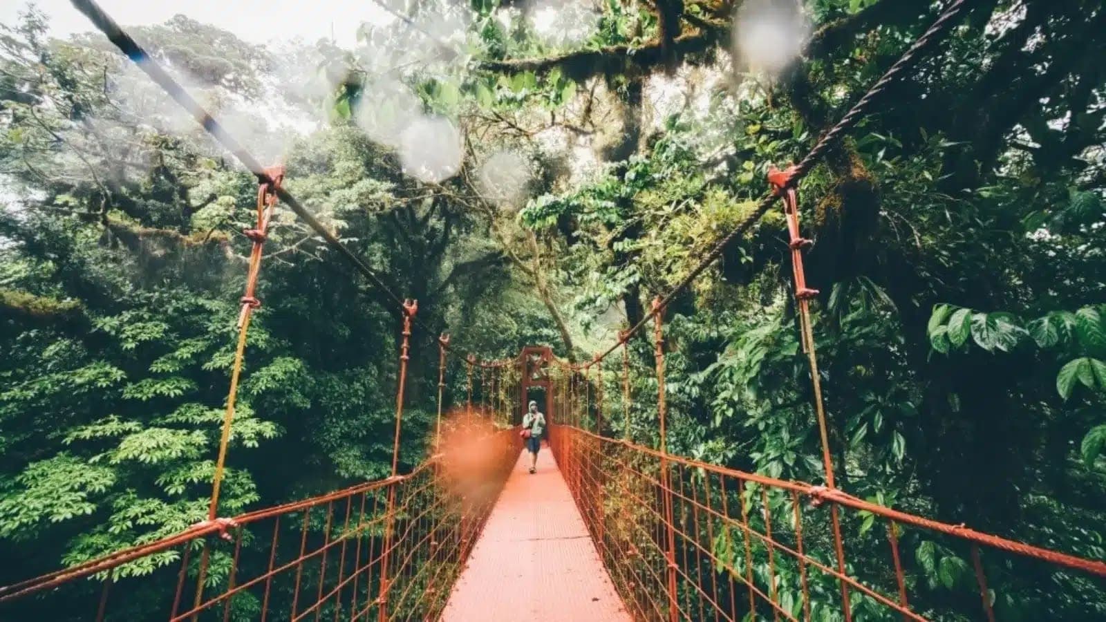 Monteverde and the highlands