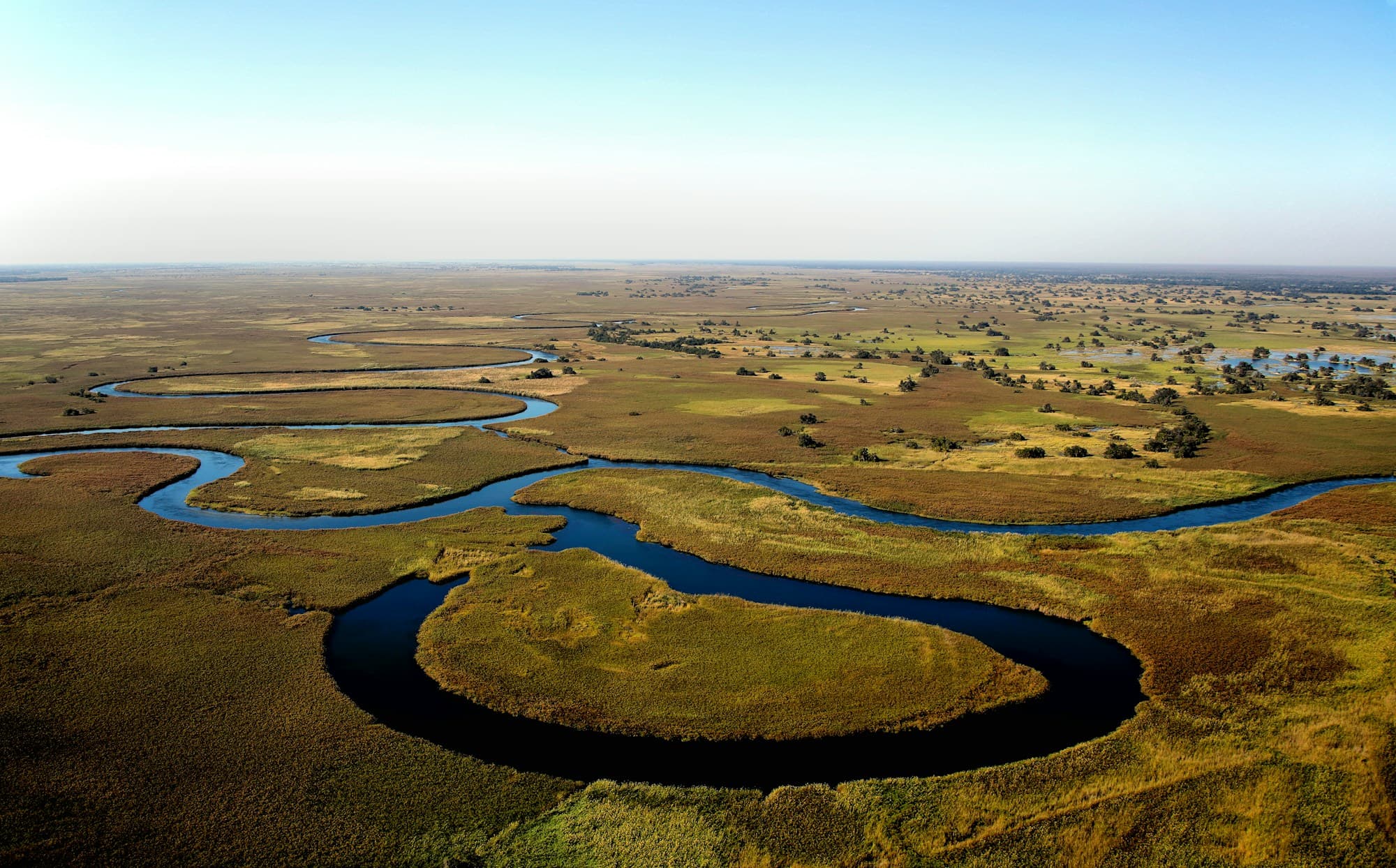 Aerial view of channels winding through the green floodplains of the Okavango Delta