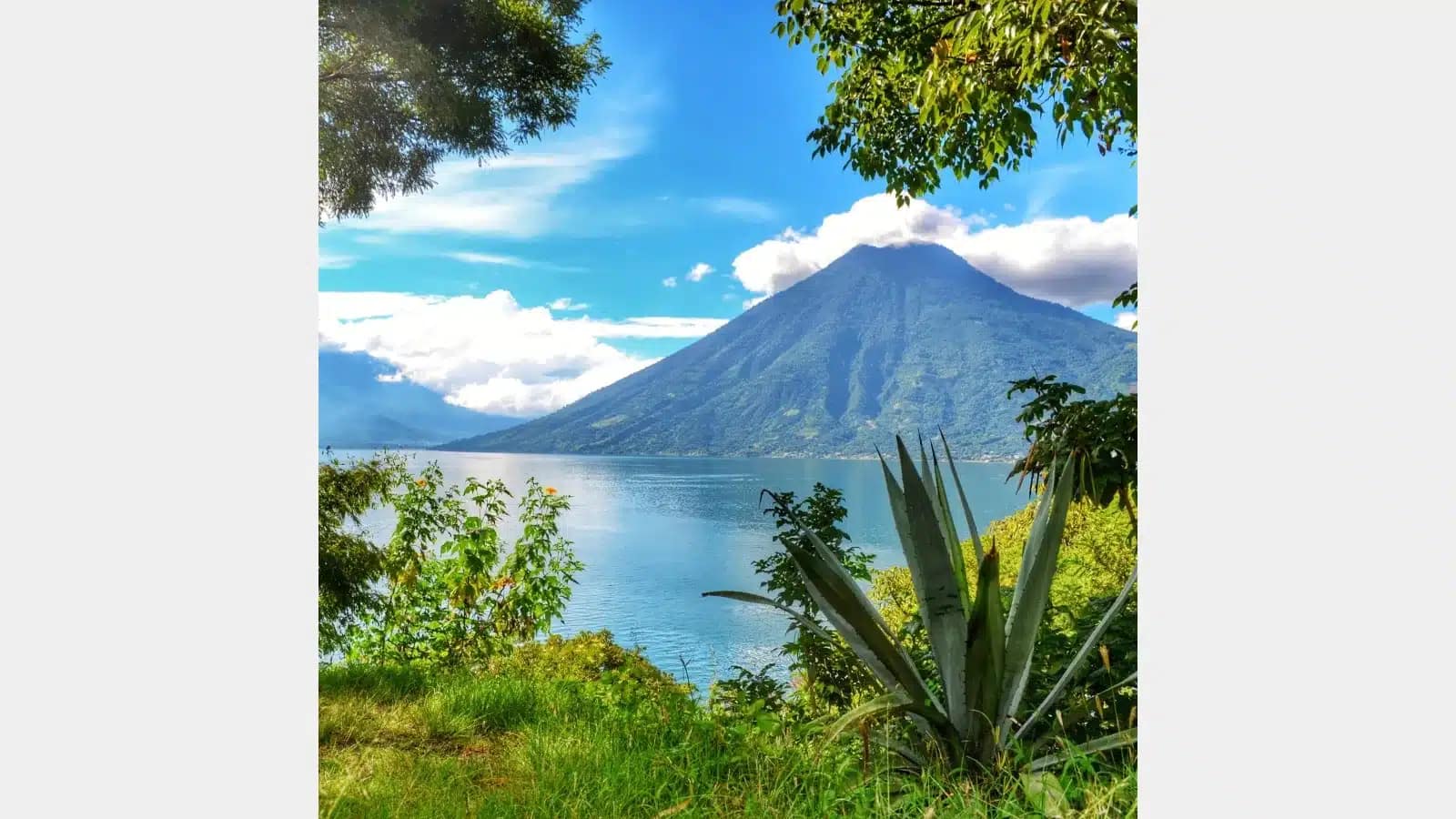 San Pedro volcano rising over Lake Atitlán, framed by trees and an agave plant