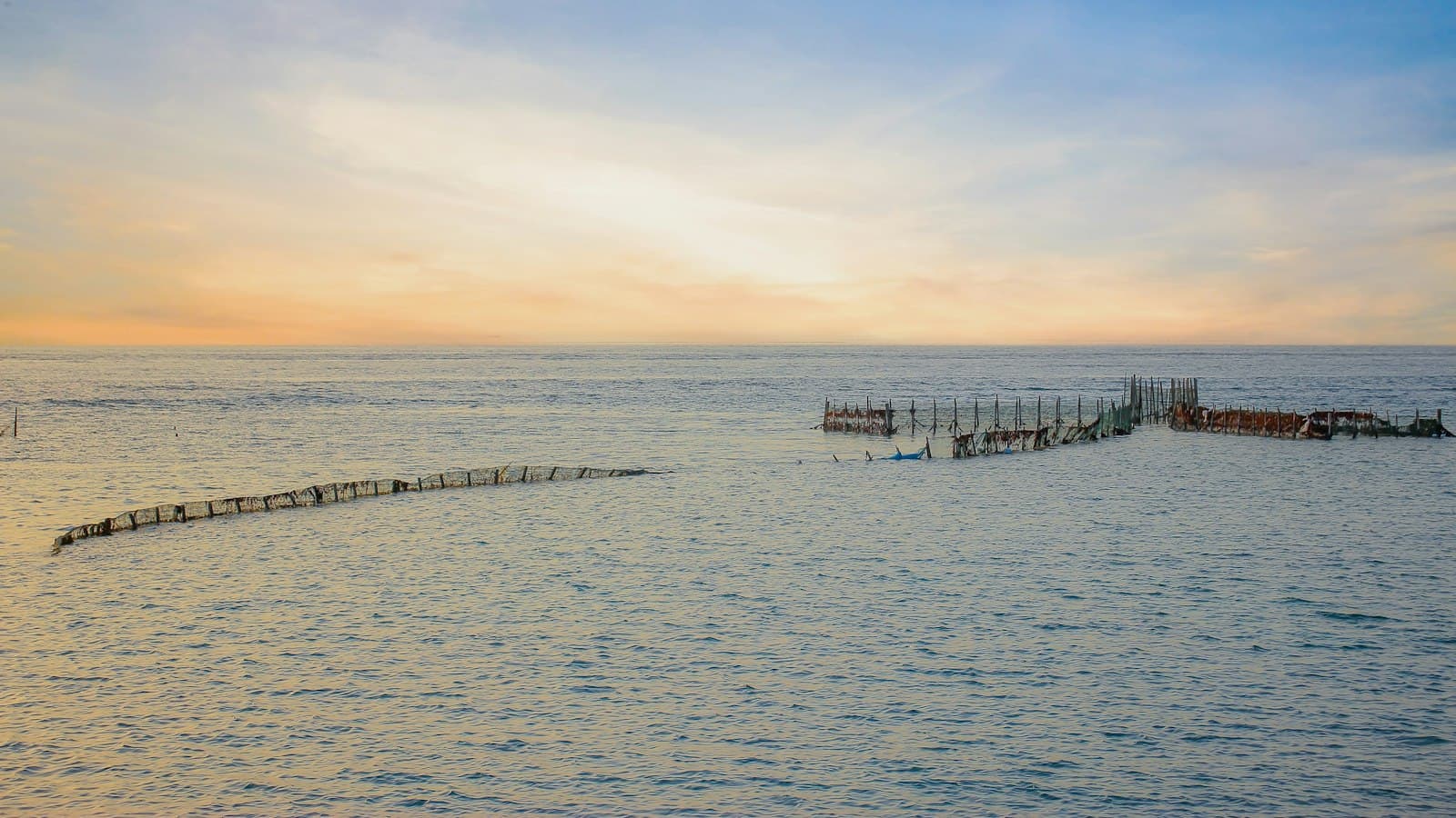 Traditional fish traps standing in calm, pale water off the Bahrain coast at sunset
