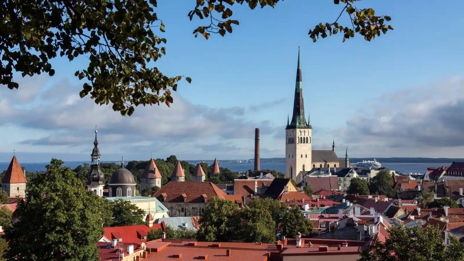 There's no Estonian job seeker visa. You can still look for work there.