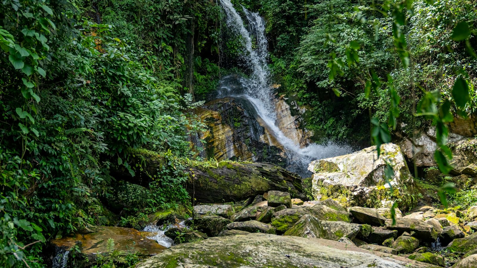 A waterfall pouring over mossy rocks in a Nigerian rainforest