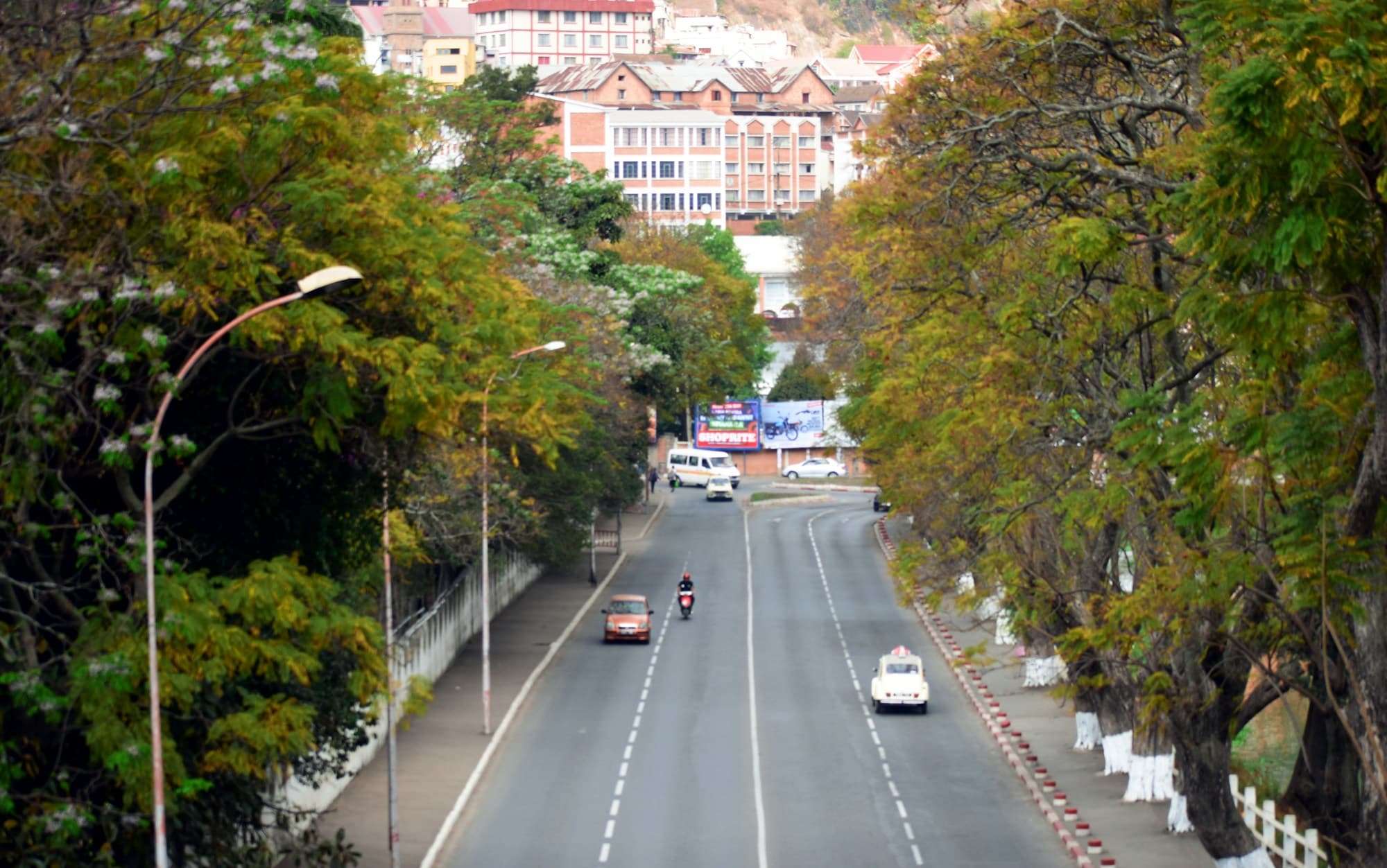 Madagascar investor visa: residence for Americans who own a stake in a Malagasy company
