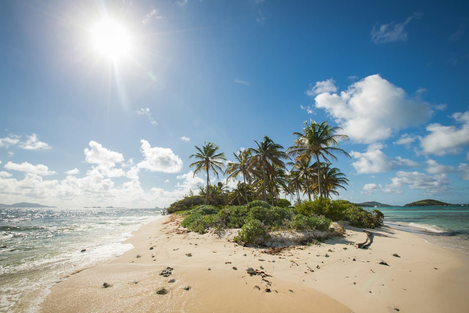 Palm trees on a sandy cay in the Grenadines under a bright sun