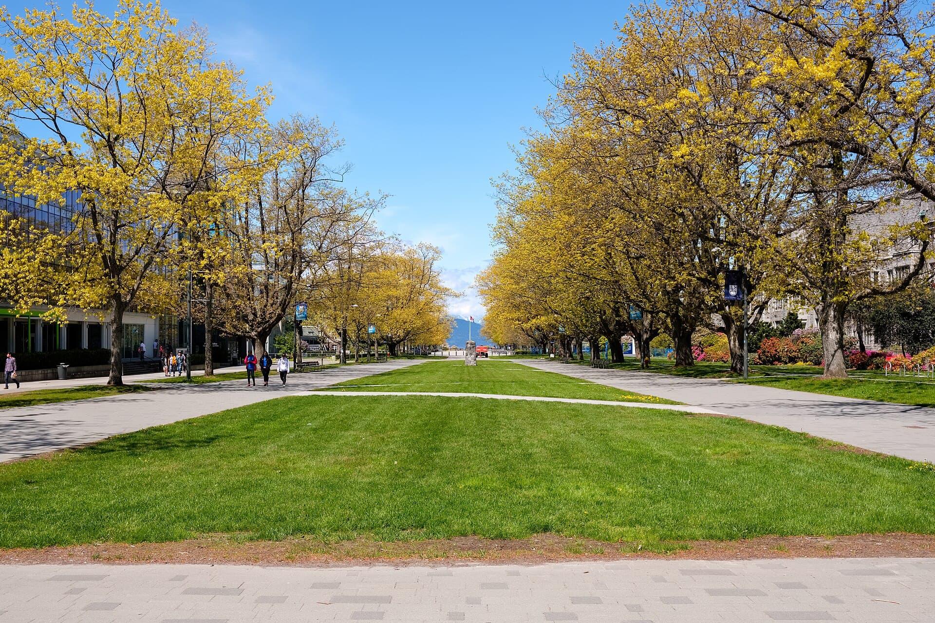 A province has to say yes before Ottawa does