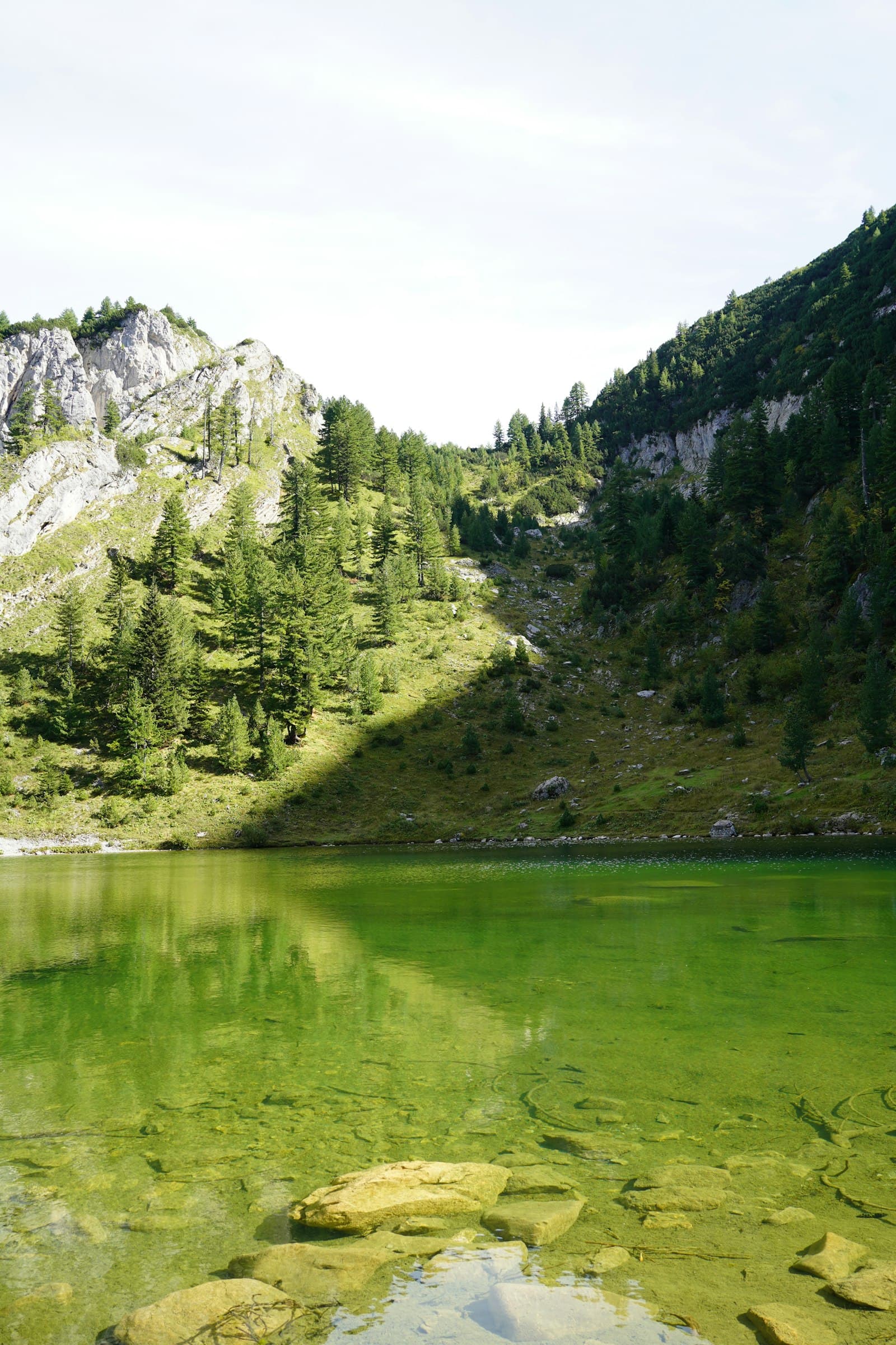 Clear green mountain lake below forested cliffs in the Rugova area of western Kosovo