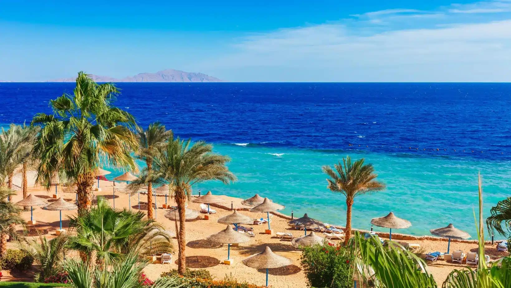 Palm-lined beach and turquoise water on Egypt's Red Sea coast in South Sinai