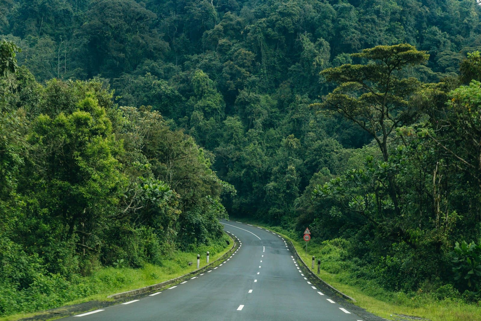 A paved road winding through dense forest in Rwanda