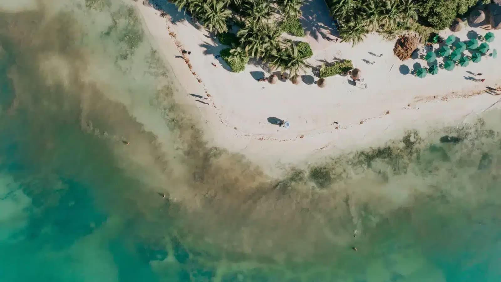 Playa del Carmen