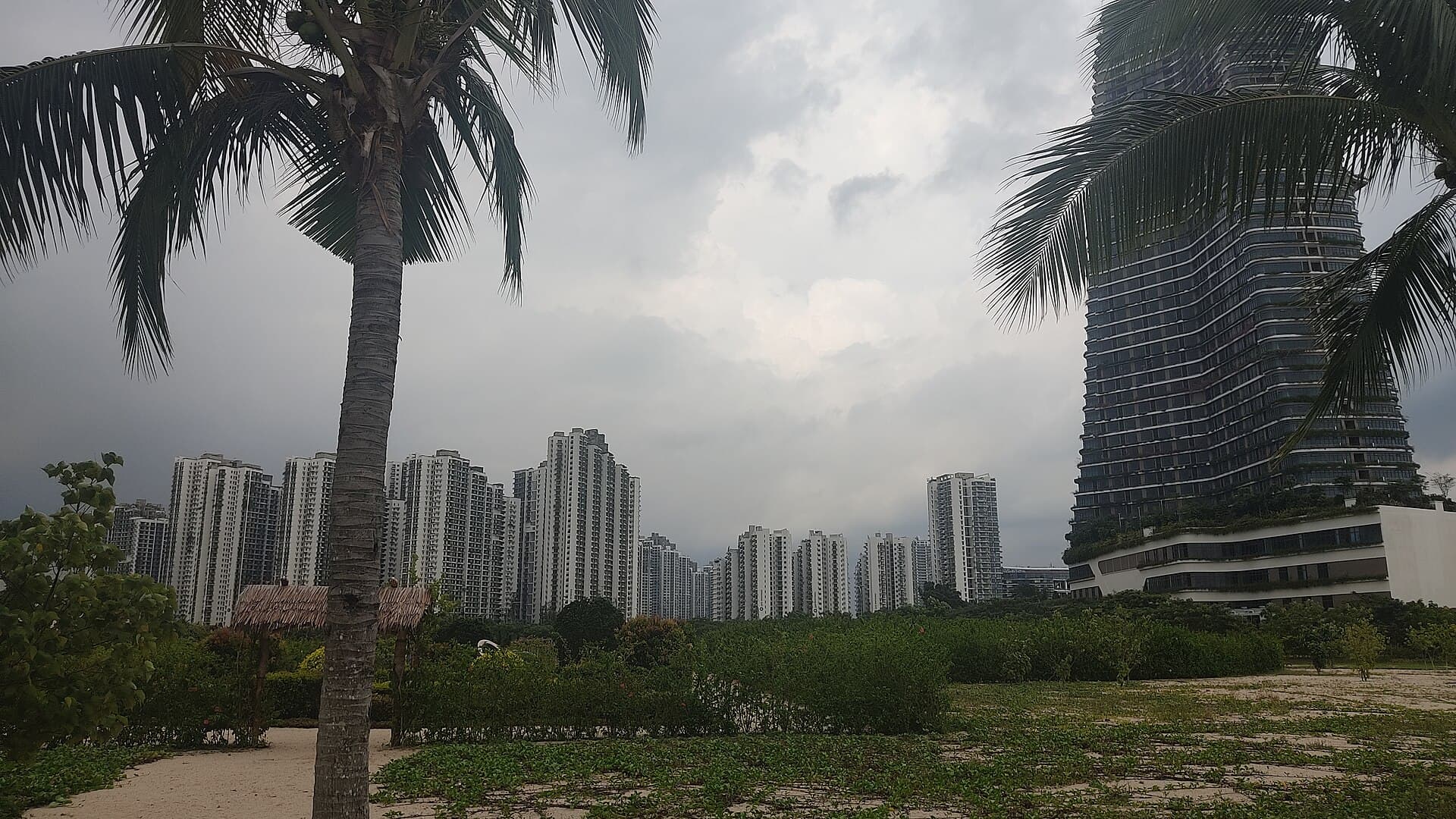 High-rise apartment towers at Forest City, Johor, seen past palm trees