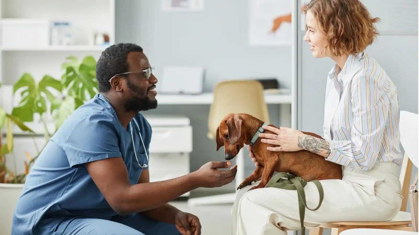 Veterinarian