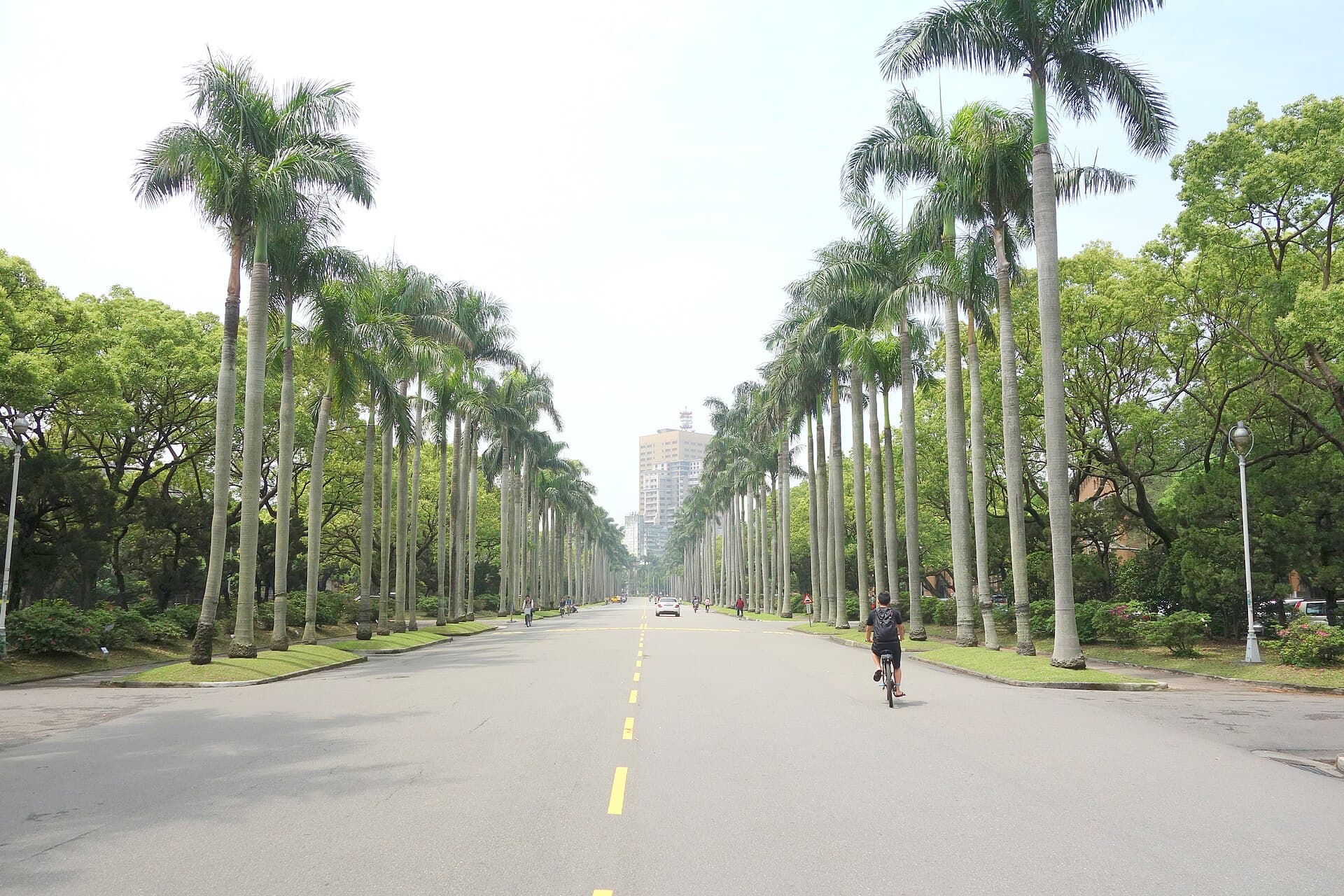 The Taiwan student visa for Americans: degree programs, Mandarin school and what comes after