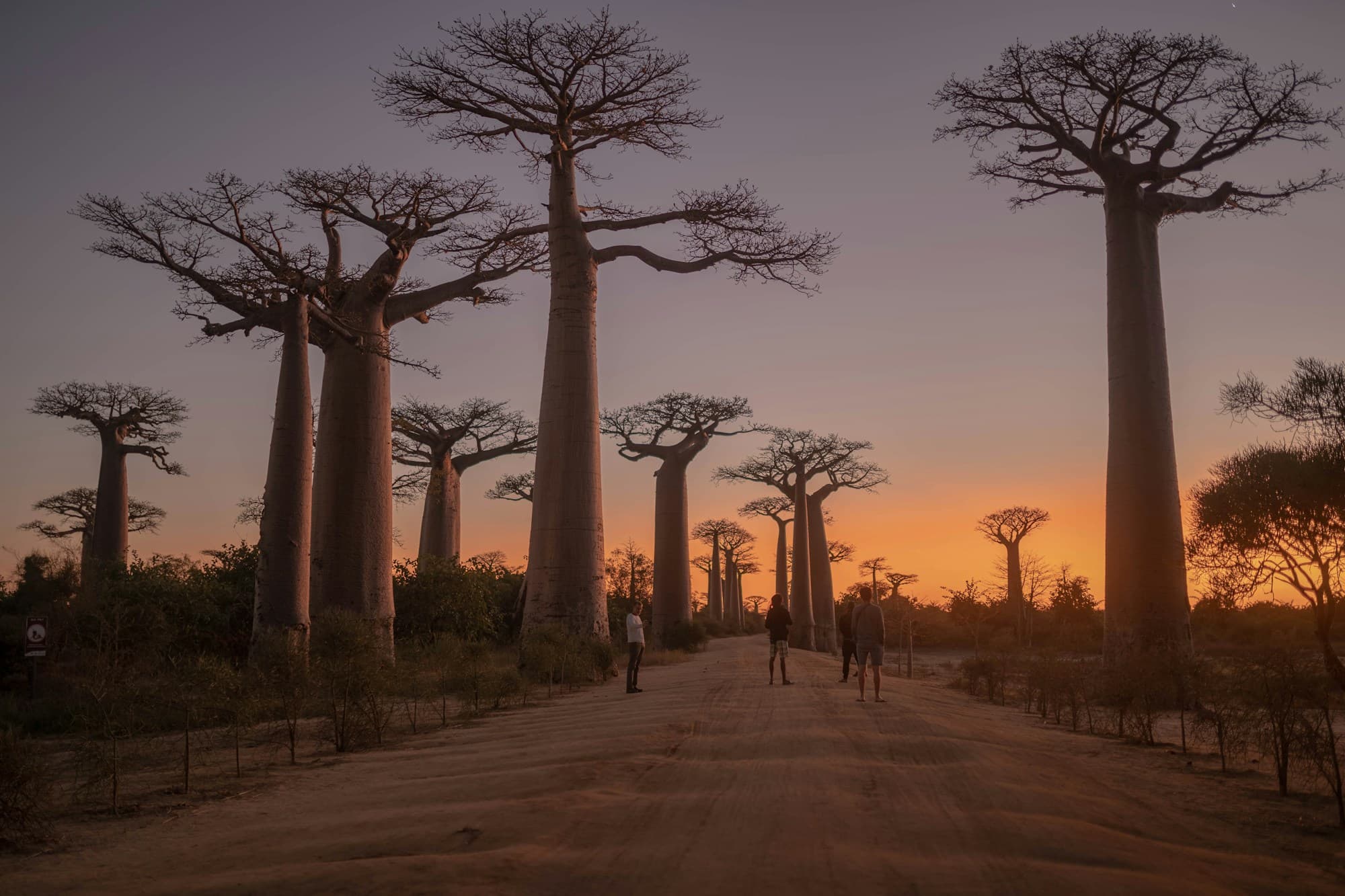 Madagascar's retiree visa runs on a $570 monthly transfer and a one-month clock