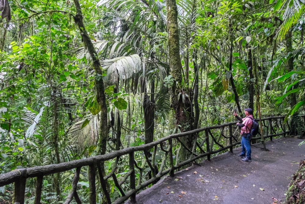La Fortuna