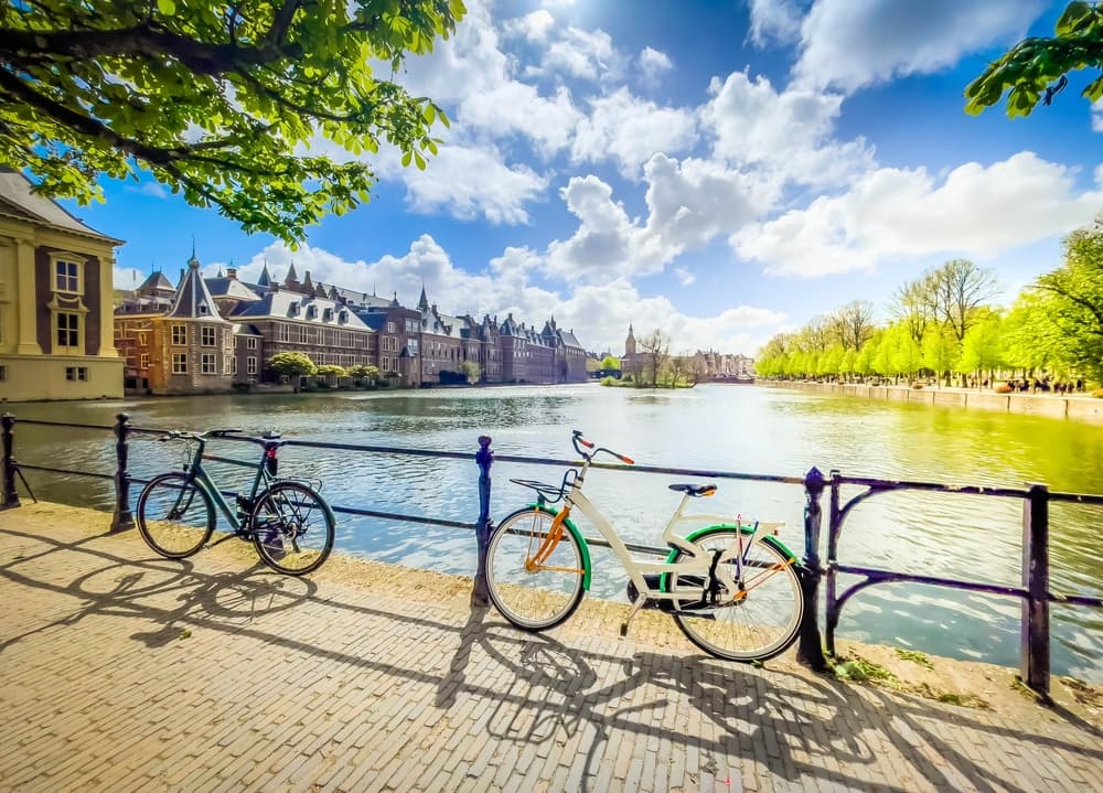 The Hague