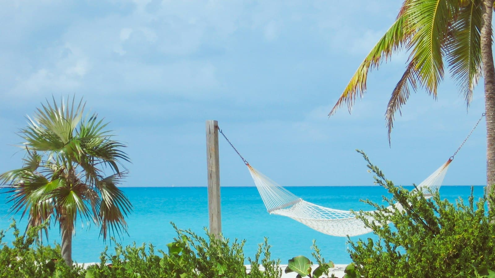 A white hammock strung between a post and a palm tree above turquoise water
