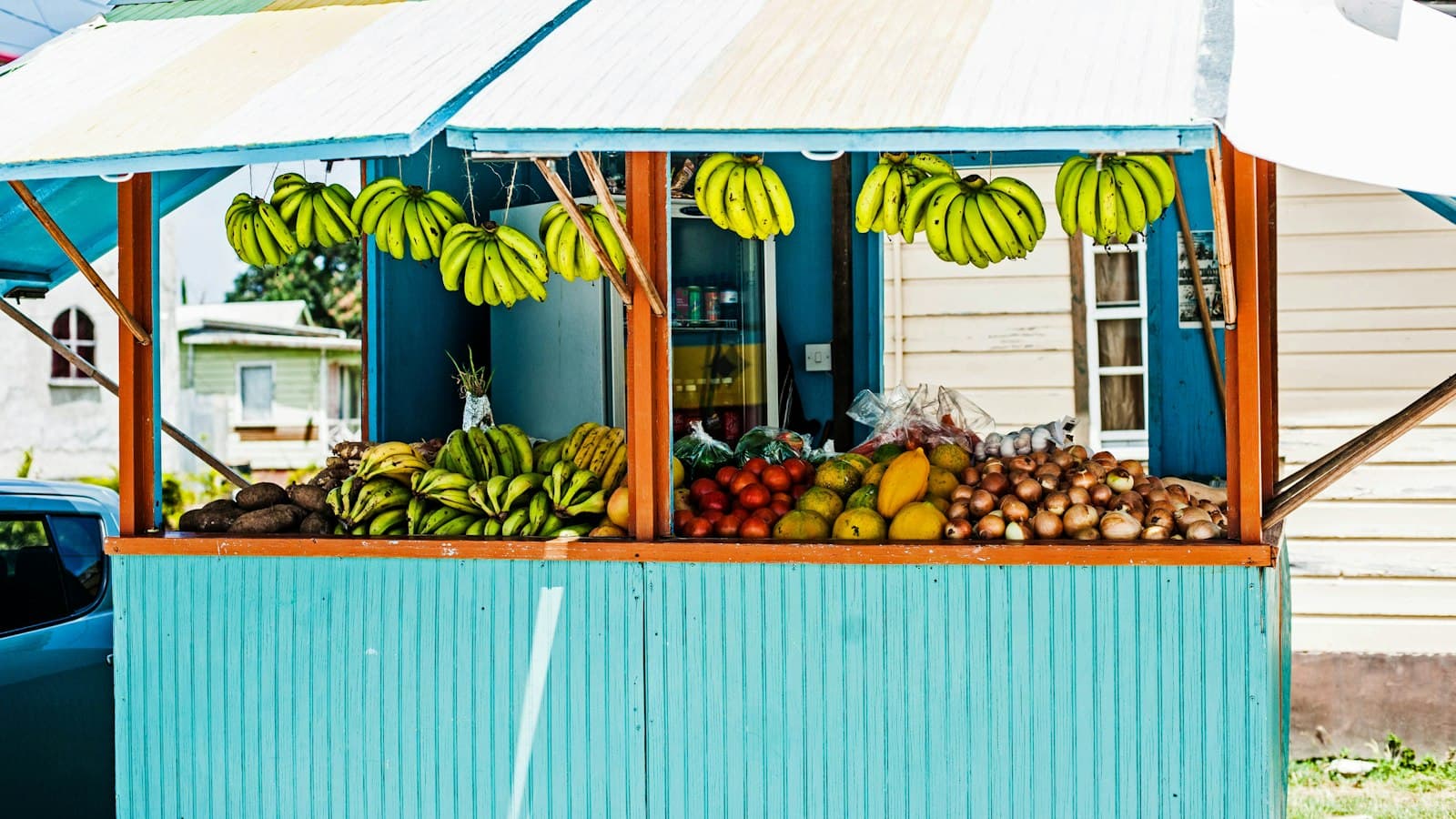 A roadside fruit stand in Barbados hung with bananas above tomatoes and onions